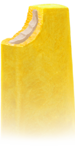 MILHO + LEITINHO