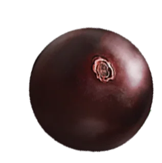 04 - Paletuba Sorvetes