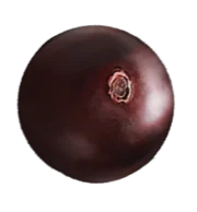 05 - Paletuba Sorvetes