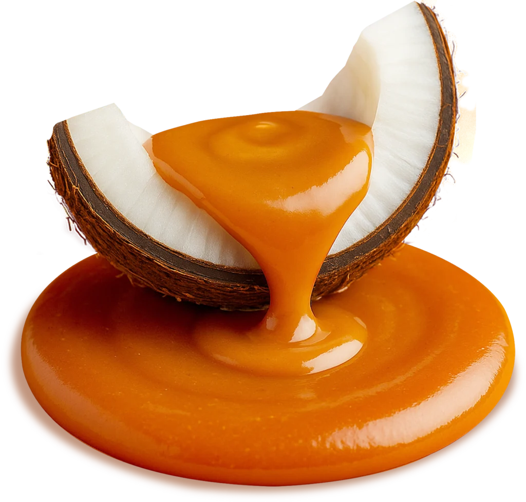 coco doce de leite – sabor - Paletuba Sorvetes