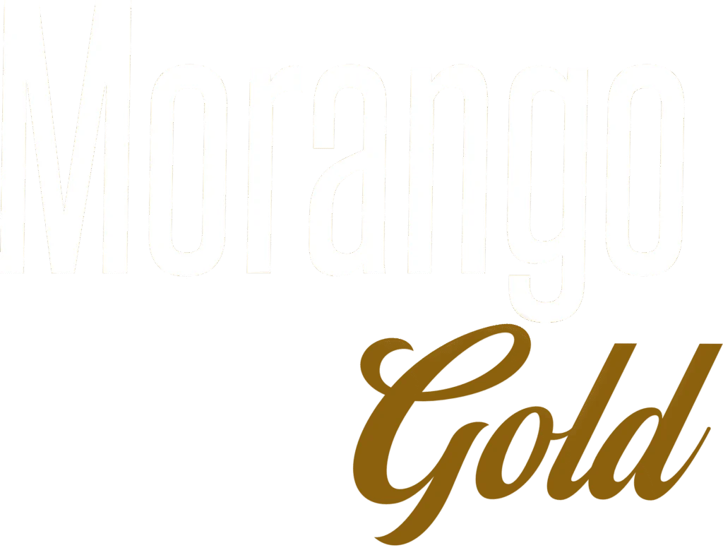 MORANGO GOLD 2 - Paletuba Sorvetes